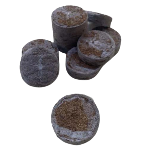 10 Jiffys Originales Grandes 30mm De Fibra De Coco Ecológico