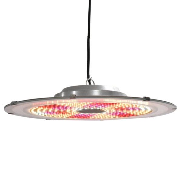 Orbiter Evolution Mars Led