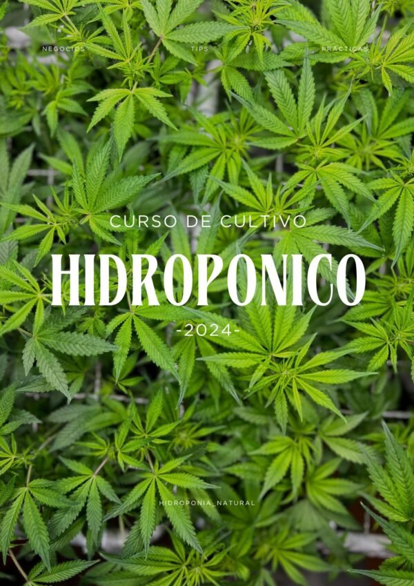 Curso de cultivo de cannabis en hidroponía profesional