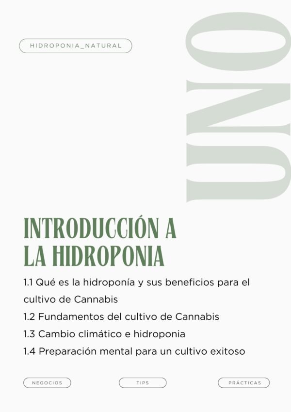 Curso de cultivo de cannabis en hidroponía profesional - Imagen 2