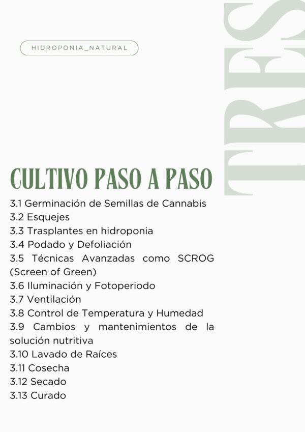 Curso de cultivo de cannabis en hidroponía profesional - Imagen 4