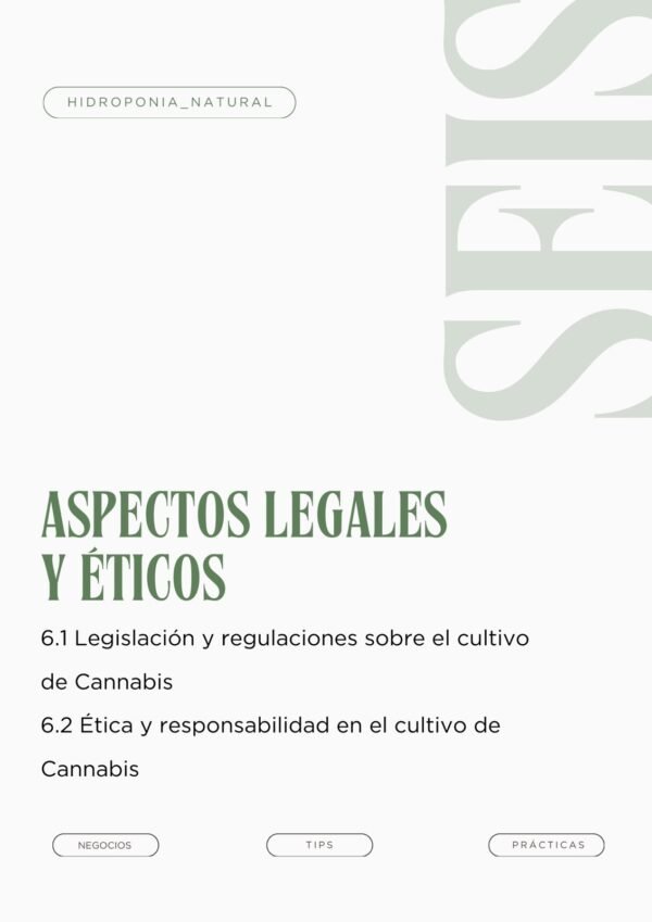 Curso de cultivo de cannabis en hidroponía profesional - Imagen 7