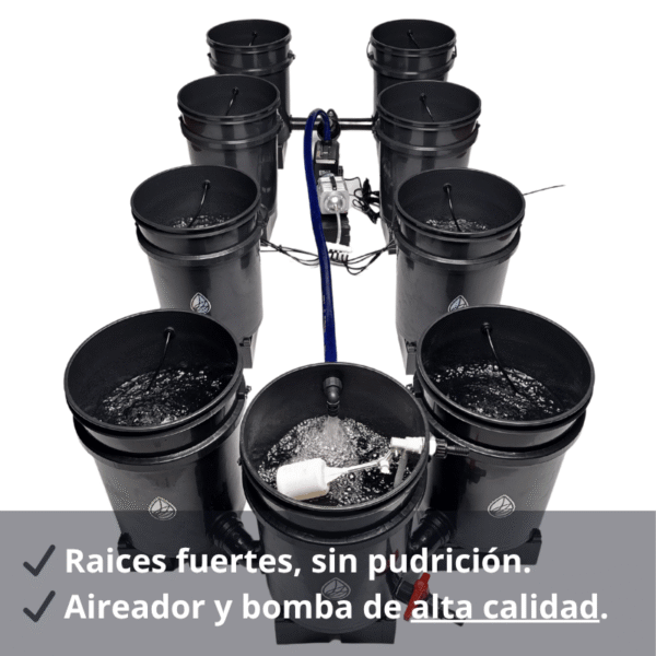 Sistema de hidroponia RDWC 8.1 20l 120x240 cm
