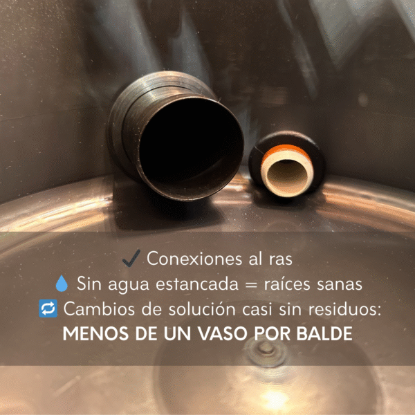 Sistema RDWC profesional