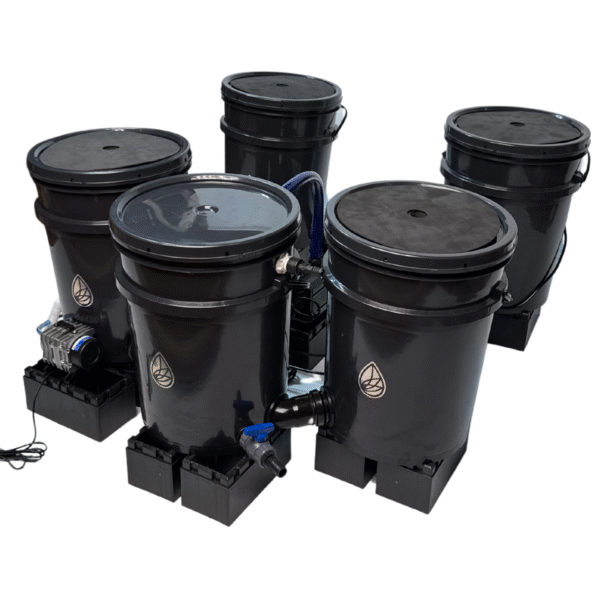 Sistema de hidroponia RDWC 4.1 120x120