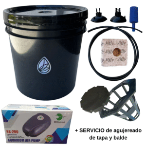 Kit dwc 10l barato Hidroponia Natural