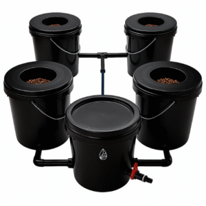 RDWC 4.1 Economico IA