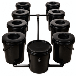 RDWC 8.1 Economico IA